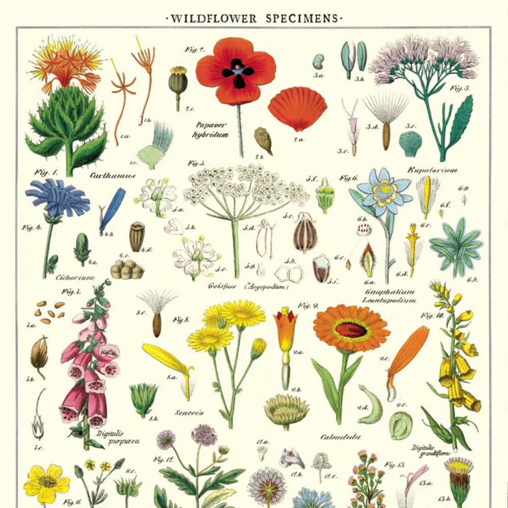 CAVALLINI & CO. Vintage Wall Hanging Wildflowers - NWT